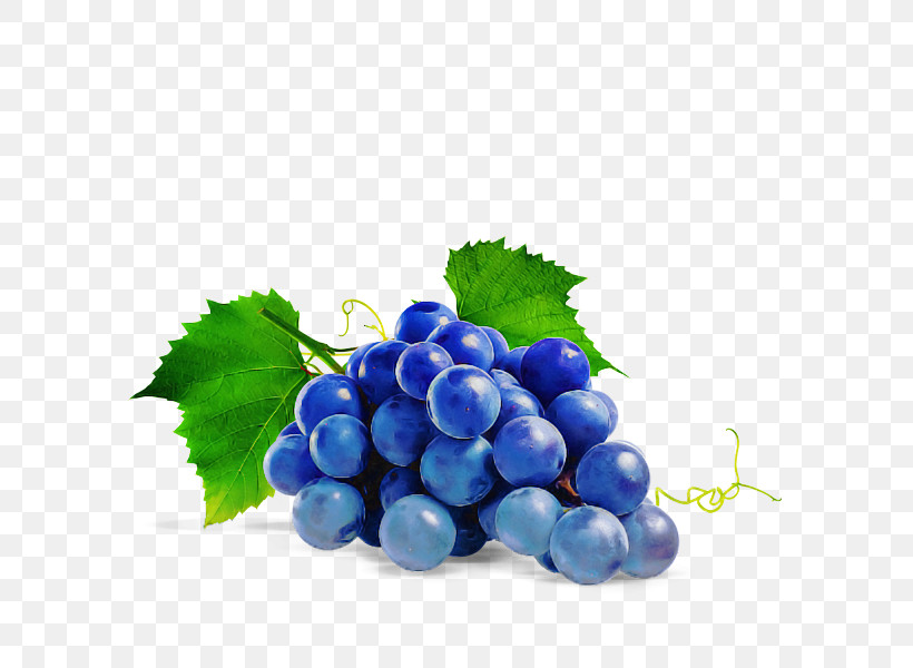 Grape Seedless Fruit Grapevine Family Berry Fruit, PNG, 600x600px, Grape, Berry, Bilberry, Blueberry, Currant Download Free