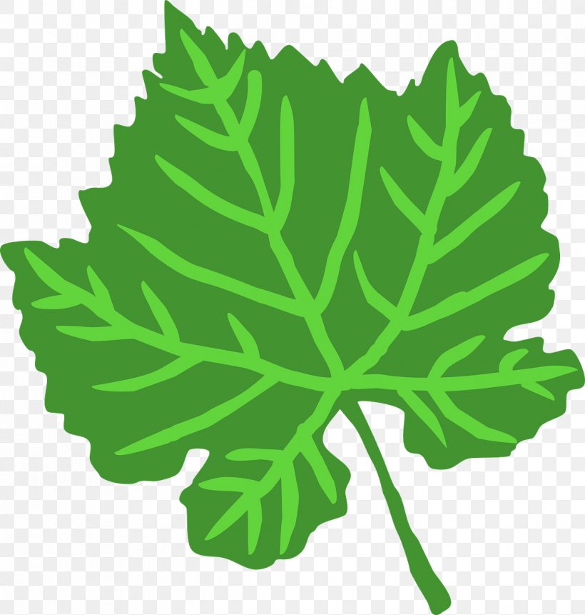 Leaf Green Drawing Clip Art, PNG, 1219x1280px, Leaf, Acanthus, Drawing, Fern, Green Download Free