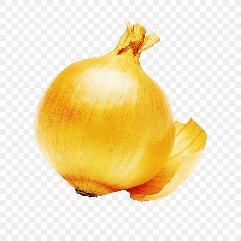 Yellow Onion Still Life Photography Onion Still Life Yellow, PNG, 1000x1000px, Yellow Onion, Onion, Still Life, Still Life Photography, Yellow Download Free