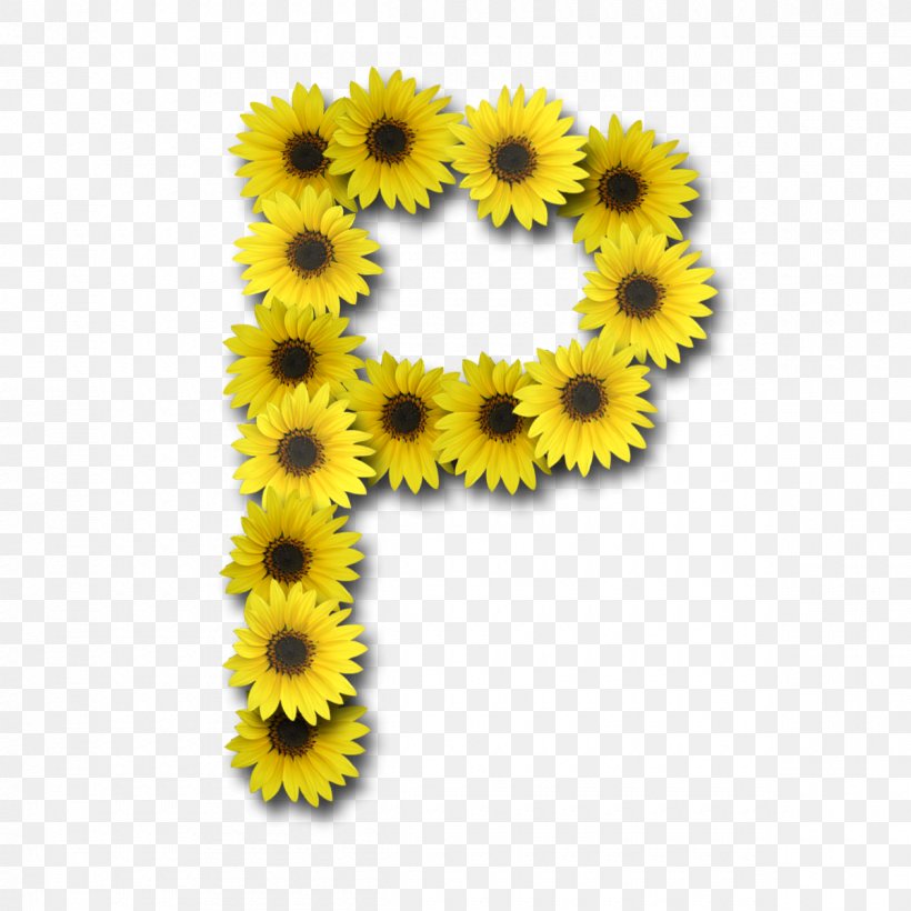 Alphabet Letter Common Sunflower, PNG, 1200x1200px, Alphabet, Chrysanths, Common Sunflower, Daisy Family, Flower Download Free