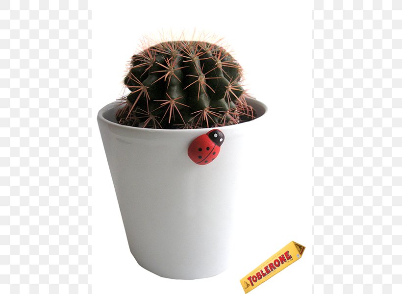 Citroën Cactus M Flowerpot, PNG, 600x600px, Flowerpot, Cactus, Caryophyllales, Plant Download Free