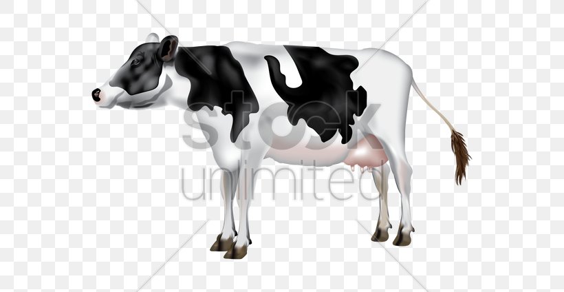Dairy Cattle Calf Milk, PNG, 600x424px, Dairy Cattle, Black And White, Bull, Calf, Cattle Download Free