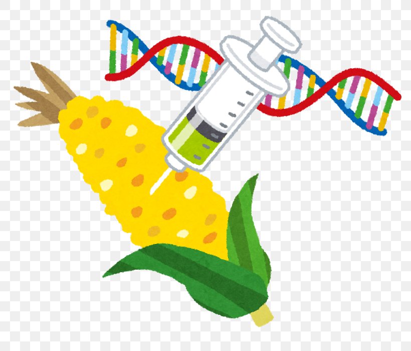 Genetically Modified Food Genetically Modified Crops Genetic Engineering Maize, PNG, 800x699px, Food, Appetite, Artwork, Beak, Gene Download Free