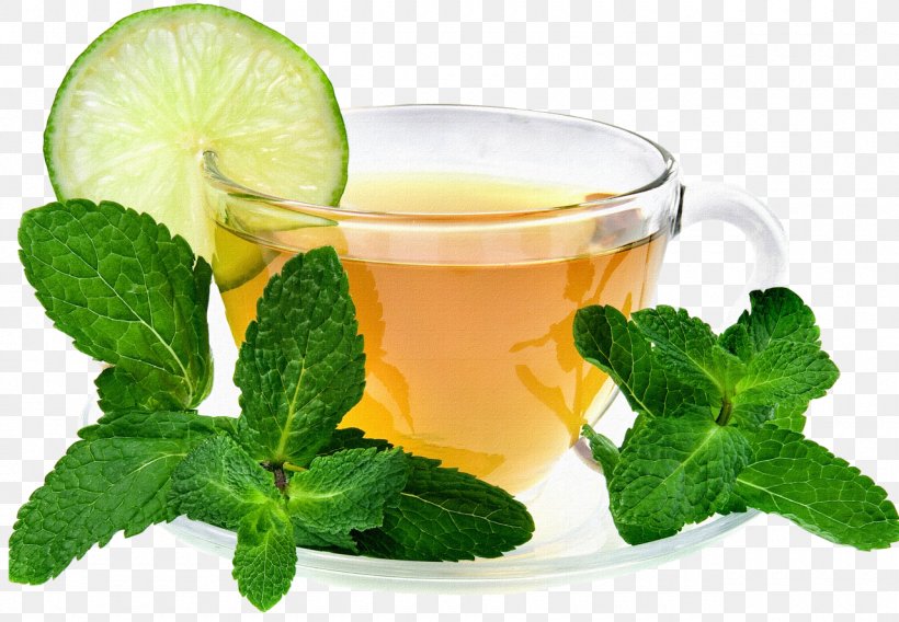 Maghrebi Mint Tea Green Tea Drink, PNG, 1280x888px, Maghrebi Mint Tea, Alternative Medicine, Chinese Tea, Cocktail Garnish, Cup Download Free