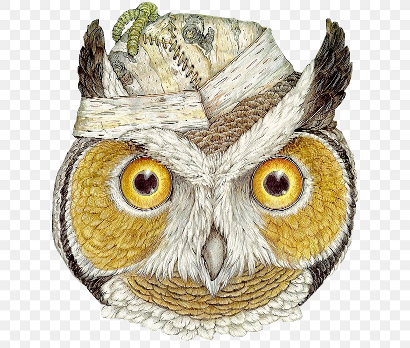 The Owl And The Pussycat The Mitten The Hat Mask, PNG, 638x695px, Owl, Animal, Author, Beak, Bird Download Free