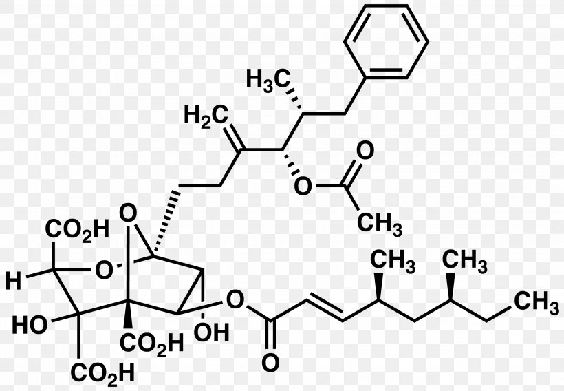 Zaragozic Acid /m/02csf Squalene Natural Product, PNG, 2263x1568px, Zaragozic Acid, Acid, Area, Auto Part, Black And White Download Free