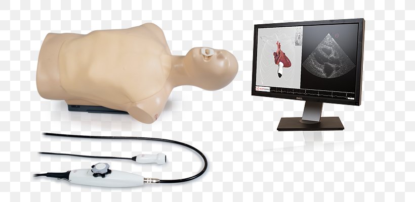 Echocardiography Transesophageal Echocardiogram Ultrasonography Simulation Medicine, PNG, 700x400px, Echocardiography, Bronchoscopy, Computer, Echo, Heart Download Free