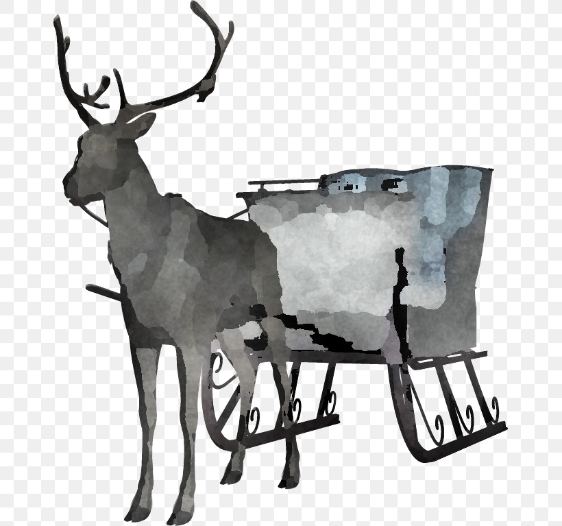 Reindeer, PNG, 664x767px, Reindeer, Antelope, Antler, Deer, Deer Hunting Download Free