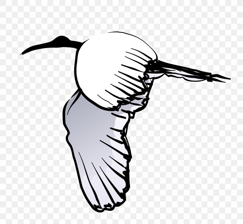 Bird Crane Swan Goose, PNG, 1619x1494px, Bird, Animation, Beak, Black And White, Cartoon Download Free