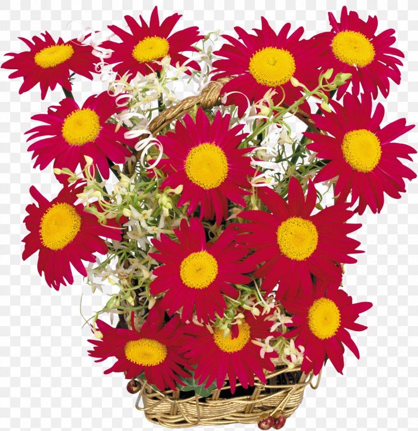 Cut Flowers Chrysanthemum Clip Art, PNG, 1163x1200px, Flower, Annual Plant, Aster, Chrysanthemum, Chrysanths Download Free