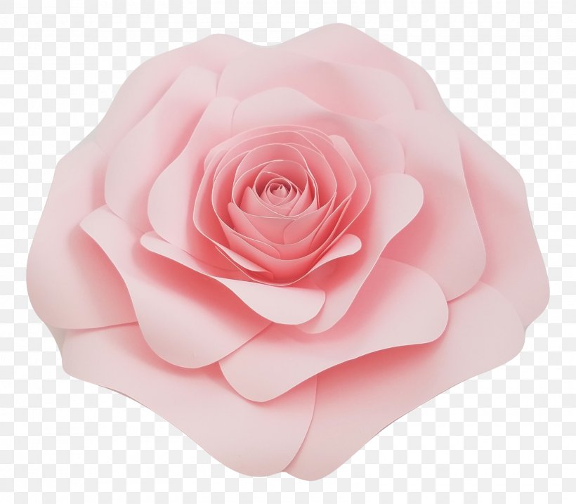 Garden Roses, PNG, 1600x1400px, Rose, Floribunda, Flower, Garden Roses, Hybrid Tea Rose Download Free