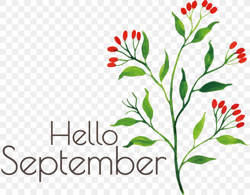 Hello September September, PNG, 3000x2342px, Hello September, Drawing, Painting, September, Vector Download Free