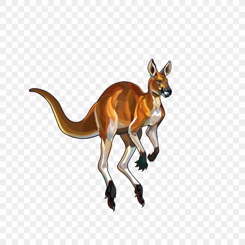 Red Kangaroo Illustration, PNG, 5000x5000px, Red Kangaroo, Antelope, Can Stock Photo, Fauna, Jumping Download Free