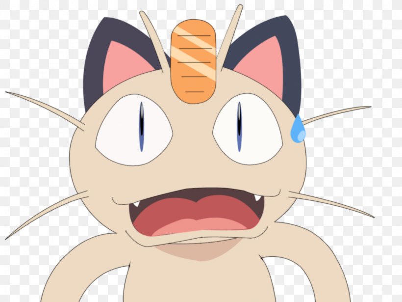 Whiskers James Meowth Pokémon Pocket Monsters, PNG, 1280x960px, Watercolor, Cartoon, Flower, Frame, Heart Download Free