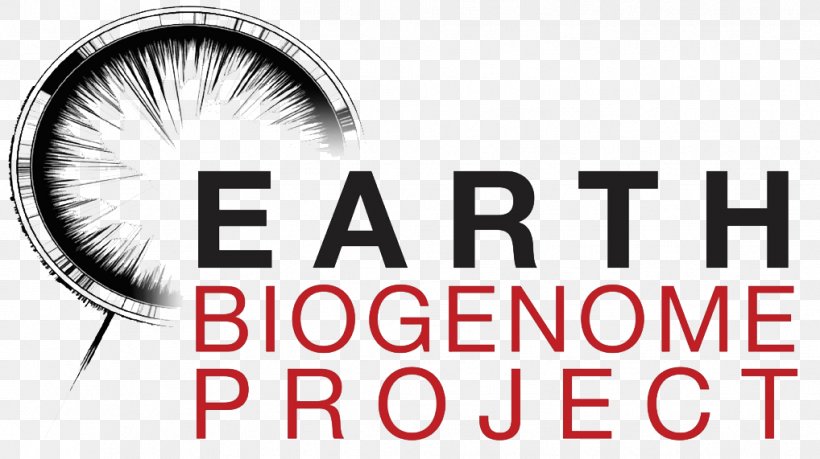 Earth BioGenome Project Biology DNA Sequencing, PNG, 1018x571px, Watercolor, Cartoon, Flower, Frame, Heart Download Free