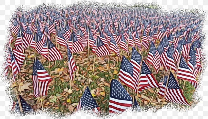 Flag Pattern, PNG, 999x575px, Flag, Flag Day Usa, Flag Of The United States, Memorial Day, Plant Download Free