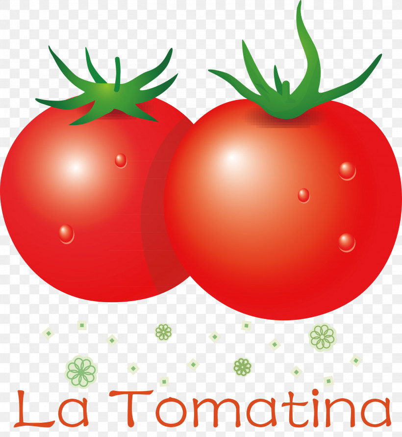 La Tomatina Tomato Throwing Festival, PNG, 2760x3000px, La Tomatina, Bush Tomato, Datterino Tomato, Fruit, Grapefruit Download Free