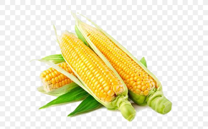 Popcorn Maize Seed Corn Kernel Field Corn, PNG, 631x510px, Popcorn, Cereal, Commodity, Corn Kernel, Corn Kernels Download Free