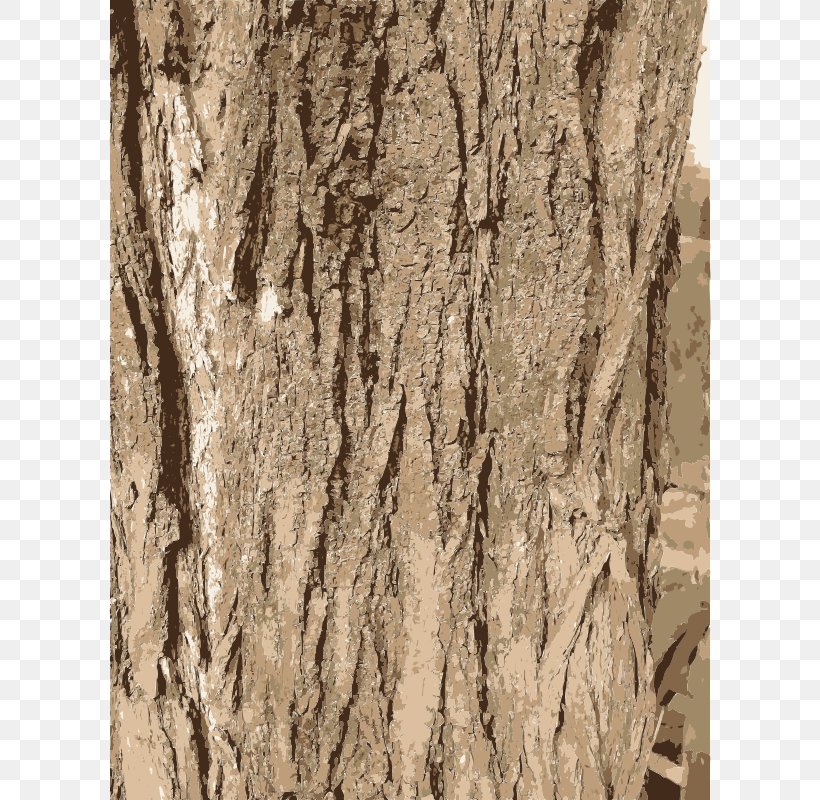 Bark Tree Clip Art, PNG, 602x800px, Bark, Branch, Plant, Scalable Vector Graphics, Texture Download Free