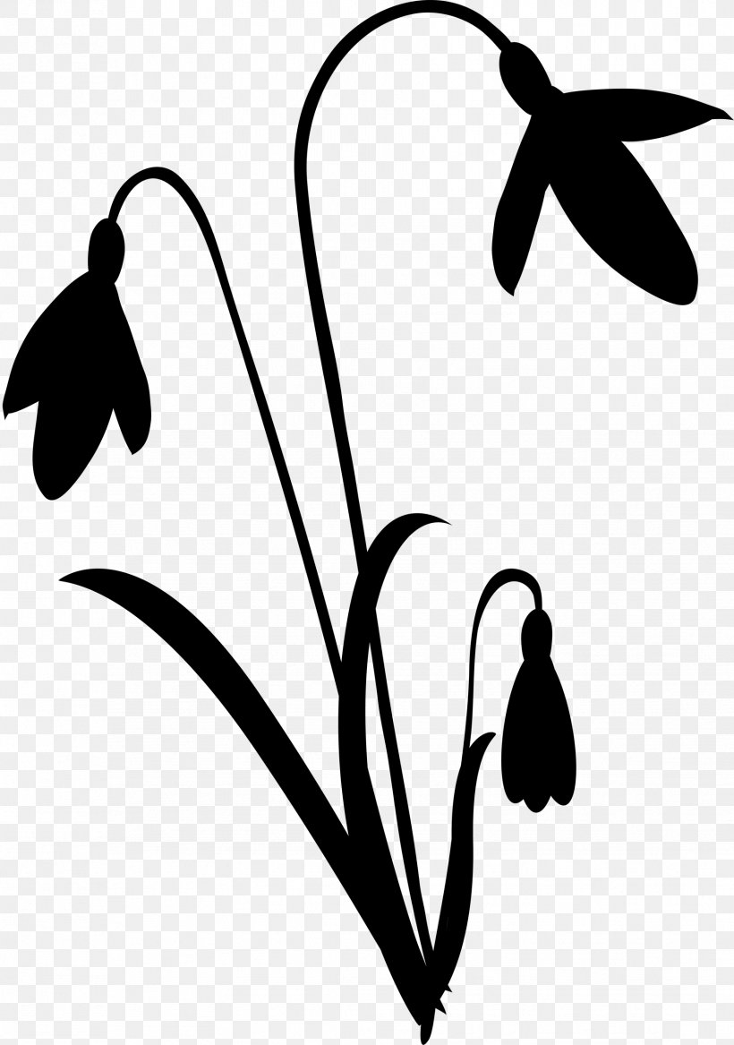 Clip Art Plant Stem Leaf Silhouette Twig, PNG, 1756x2500px, Plant Stem, Blackandwhite, Botany, Coloring Book, Flower Download Free
