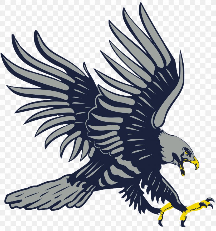 Dickinson State University Mayville State University Dickinson State Blue Hawk Football Presentation College, South Dakota Dickinson State Blue Hawks Men's Basketball, PNG, 1500x1609px, Dickinson State University, Accipitriformes, American Football, Bald Eagle, Beak Download Free