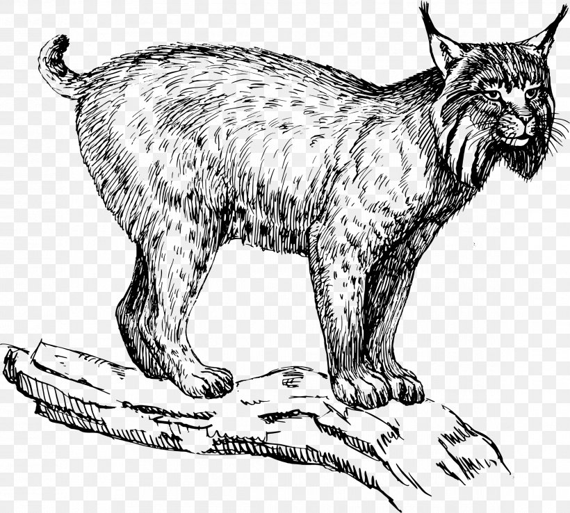 Eurasian Lynx Felidae Wildcat Bobcat Clip Art, PNG, 2319x2089px, Eurasian Lynx, Animal Figure, Art, Artwork, Big Cats Download Free