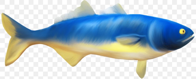 Shark Milkfish Clip Art, PNG, 810x331px, Shark, Animal, Bony Fish, Dots Per Inch, Electric Blue Download Free