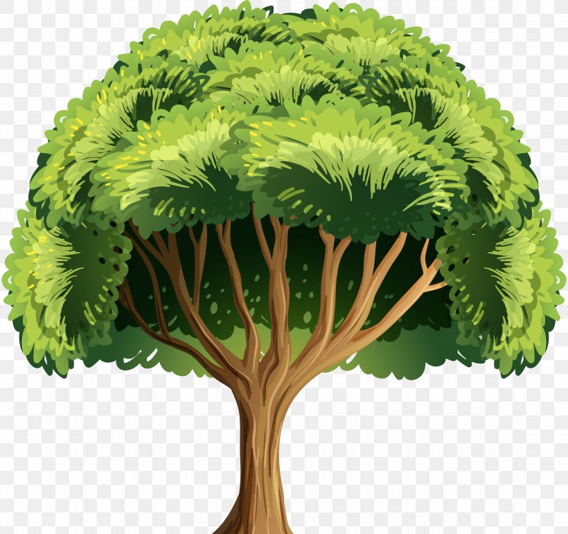 Tree Bark, PNG, 8912x8381px, Tree, Arecaceae, Bark, Flowerpot, Leaf Vegetable Download Free