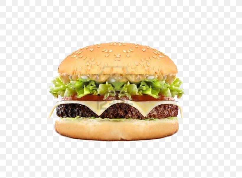 Cheeseburger Hamburger Big N' Tasty French Fries Take-out, PNG, 509x602px, Cheeseburger, American Food, Big Mac, Breakfast Sandwich, Buffalo Burger Download Free
