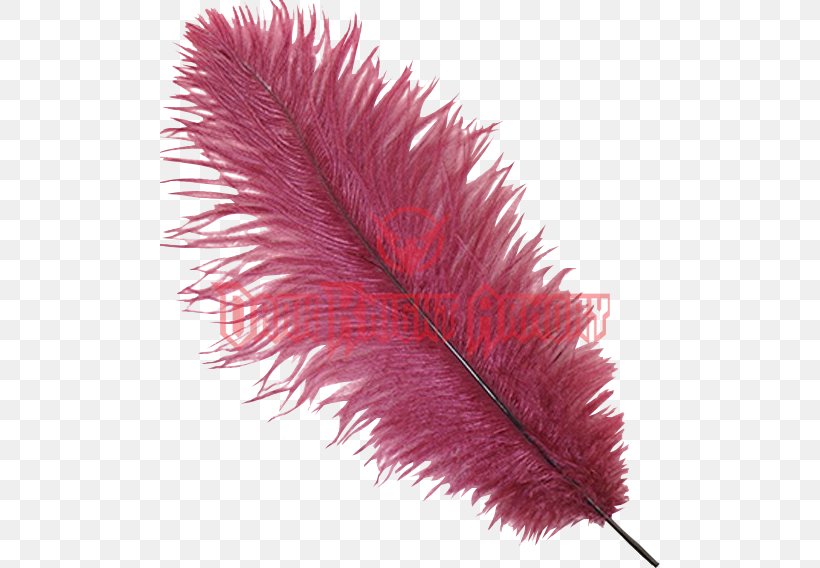 Feather Plume Hat Common Ostrich Headgear, PNG, 568x568px, Feather, Burgundy, Clothing Accessories, Color, Common Ostrich Download Free