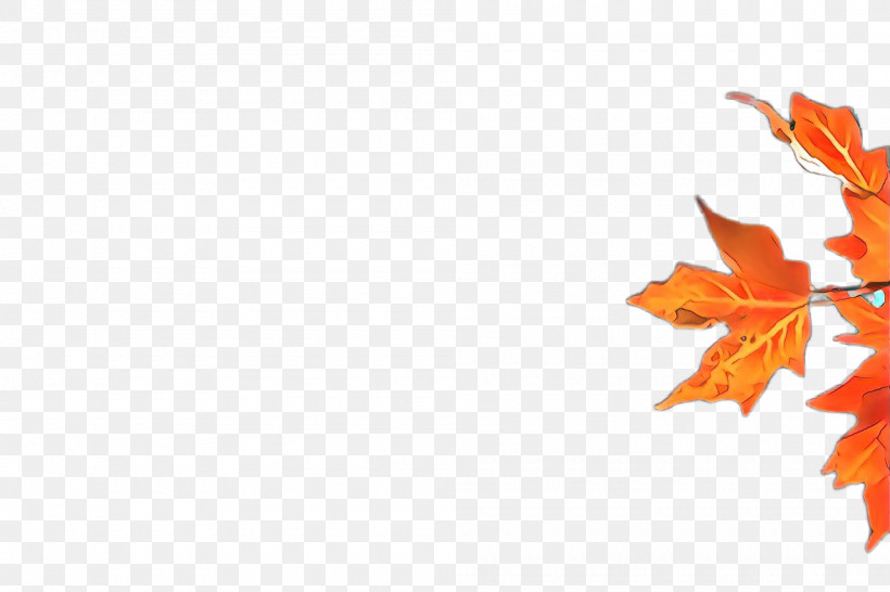 Maple Leaf, PNG, 2000x1332px, Orange, Autumn, Leaf, Maple, Maple Leaf Download Free