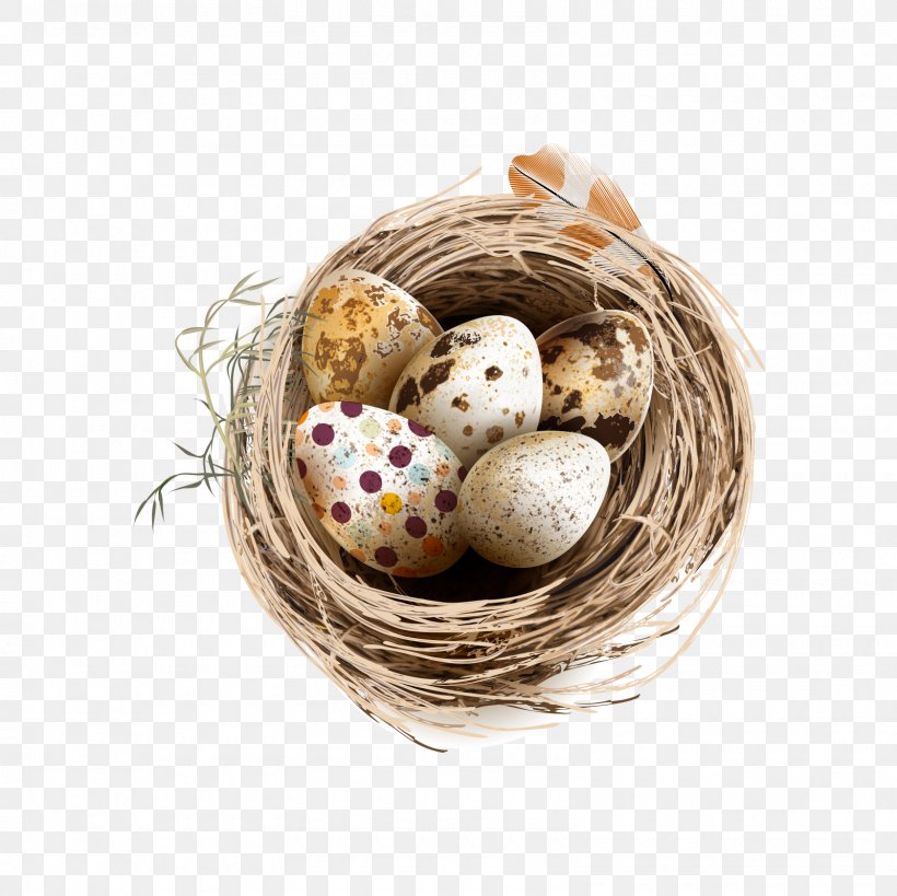 Bird Chicken Quail Eggs, PNG, 1600x1600px, Bird, Basket, Bird Nest, Chicken, Chicken Egg Download Free
