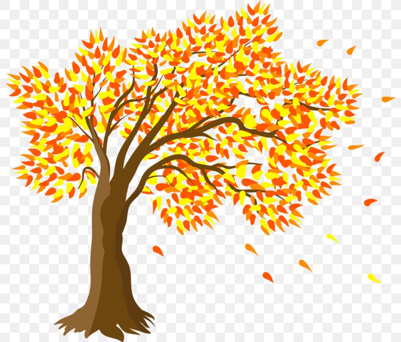 Drawing Clip Art, PNG, 800x699px, Drawing, Art, Autumn, Branch, Flora Download Free