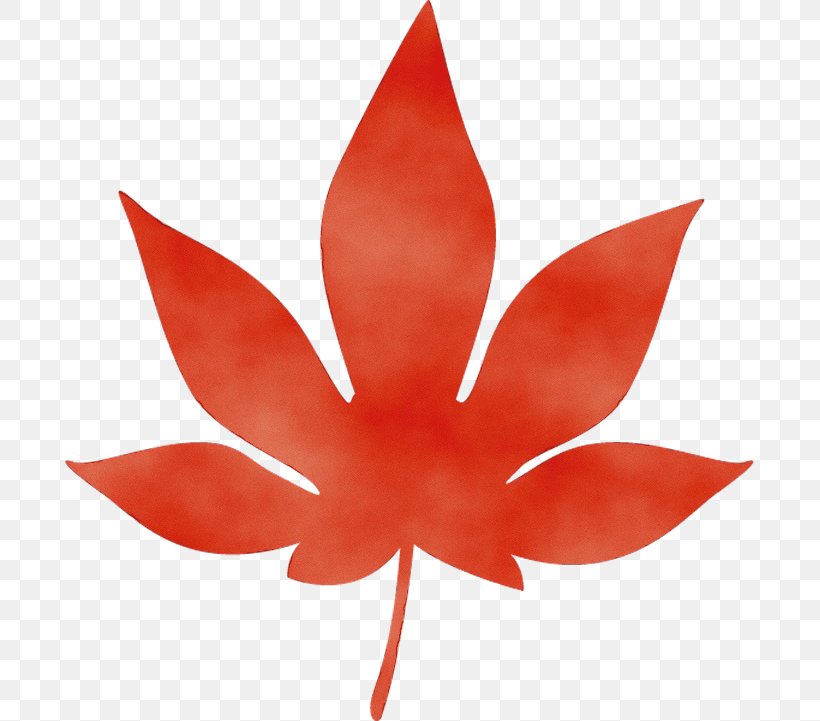 Leaf Red Petal Plant Flower, PNG, 689x721px, Watercolor, Flower, Flowering Plant, Leaf, Paint Download Free
