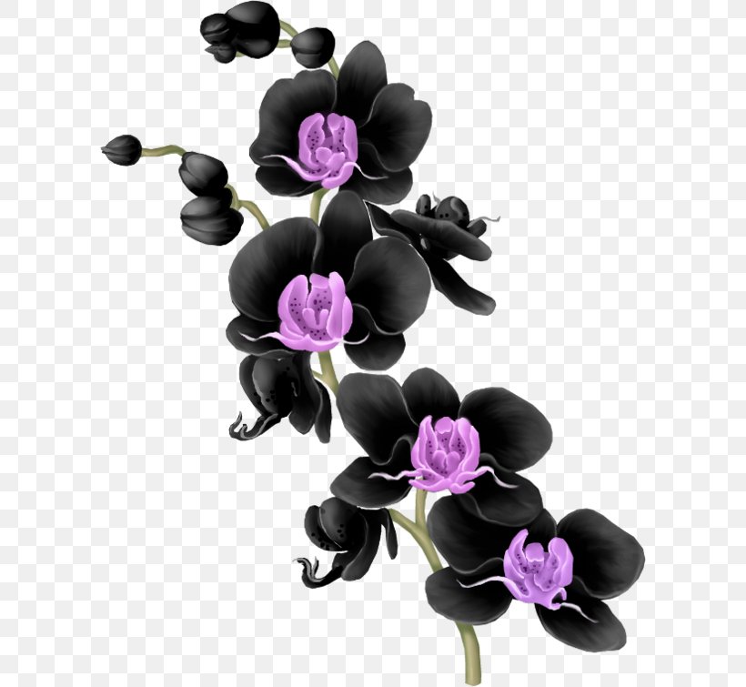 Moth Orchids Floral Design Flower Purple Clip Art, PNG, 600x755px, Moth Orchids, Artificial Flower, Blume, Cut Flowers, Floral Design Download Free