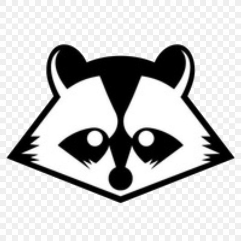 Raccoons YouTube Giant Panda White Website, PNG, 1024x1024px, Raccoons, Black, Black And White, Carnivoran, Dog Like Mammal Download Free