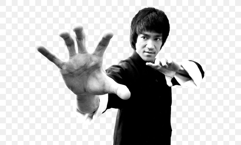 The Legend Of Bruce Lee ASICS Onitsuka Tiger Clothing, PNG, 600x494px, Bruce Lee, Adidas, Aggression, Arm, Asics Download Free