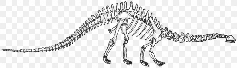 Velociraptor Tyrannosaurus Carnivora Line Art Sketch, PNG, 1056x307px, Velociraptor, Animal, Animal Figure, Artwork, Black And White Download Free