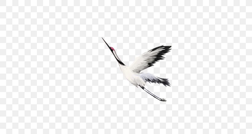 Water Bird Crane Beak Feather, PNG, 614x437px, Bird, Beak, Computer, Crane, Crane Like Bird Download Free