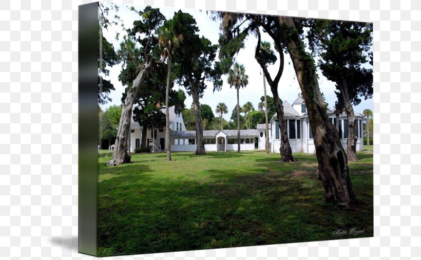 Landscape Property Tree Hacienda Meter, PNG, 650x506px, Landscape, Garden, Grass, Hacienda, House Download Free