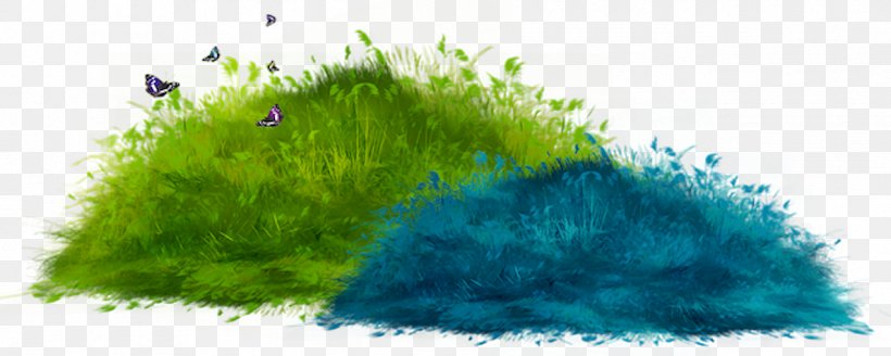 Lawn Clip Art, PNG, 1270x509px, Lawn, Data Compression, Digital Image, Feather, Grass Download Free