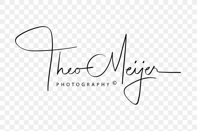 Logo Brand Paper, PNG, 7500x5000px, Logo, Area, Black, Black And White, Brand Download Free