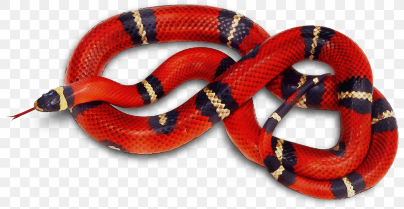 Coral Snake Snake Kingsnake Milksnake Reptile, PNG, 1440x745px, Watercolor, Colubridae, Coral Snake, Eastern Coral Snake, Elapidae Download Free