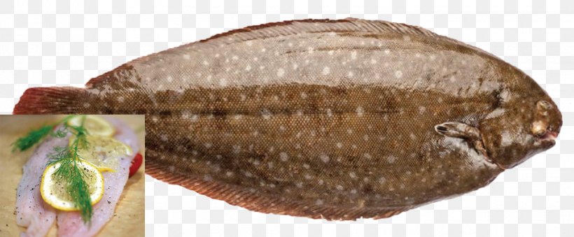 Fish Products Tilapia, PNG, 1739x720px, Fish Products, Fish, Flatfish, Tilapia Download Free