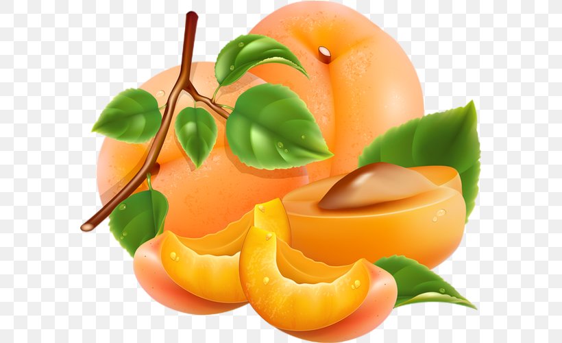 Peach Apricot, PNG, 585x500px, Peach, Apricot, Cherry, Diet Food, Food Download Free