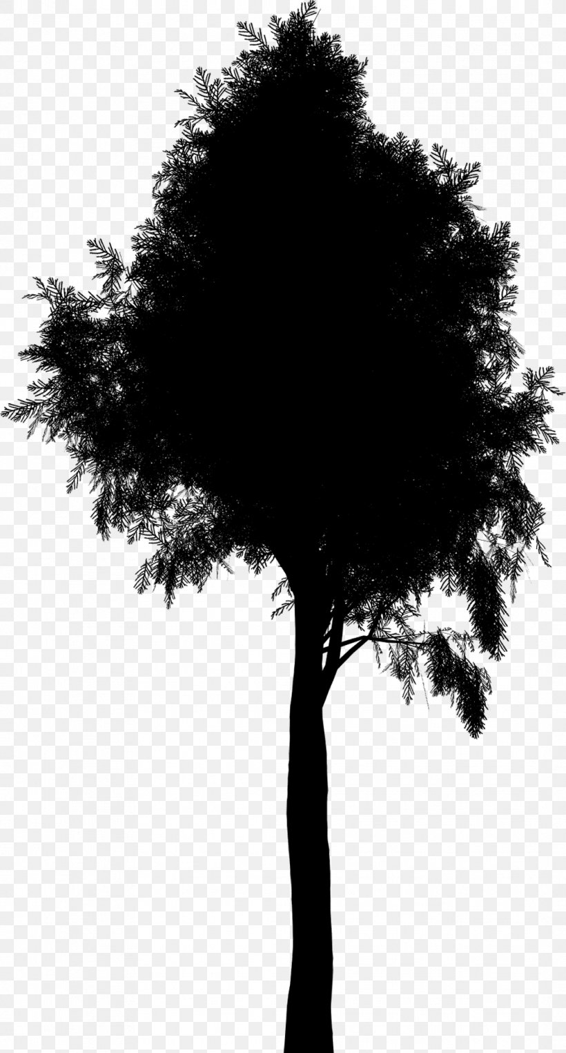 Silhouette Leaf Branching, PNG, 1068x1987px, Silhouette, Blackandwhite, Branch, Branching, Leaf Download Free
