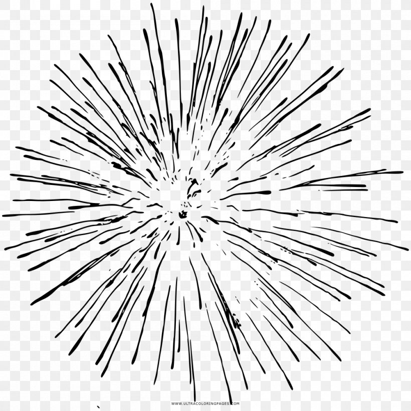 Drawing Sunburst Royalty-free, PNG, 1000x1000px, Drawing, Black And White, Color, Line Art, Logo Download Free