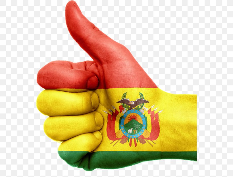 Hungary Biblioteca De Villa San Antonio Bajo Iran Polish Investment And Trade Agency Flag Of Bolivia, PNG, 566x624px, Hungary, Bolivia, Company, Finger, Flag Of Bolivia Download Free