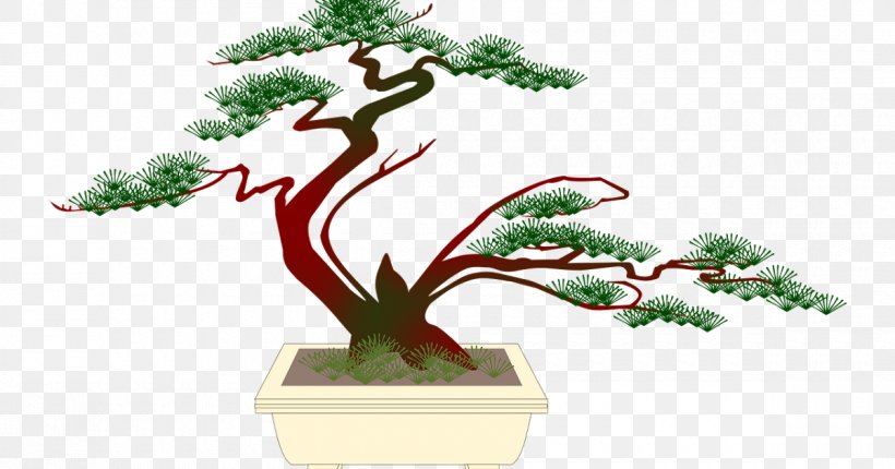 Popular Bonsai Clip Art Tree Image, PNG, 1200x630px, Bonsai, Botany, Branch, Conifer, Flower Download Free