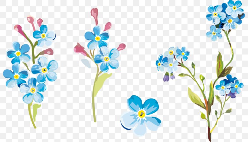 Floral Design Cut Flowers Petal Wildflower, PNG, 800x469px, Floral Design, Art, Blossom, Branch, Cut Flowers Download Free